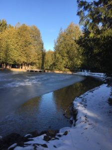 Crystal Roots Retreats